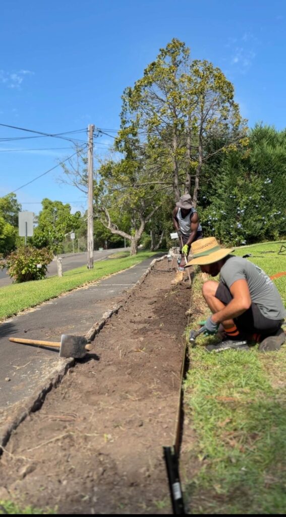 Landscape Design