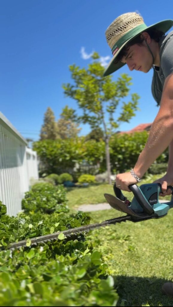 Garden Maintenance Services