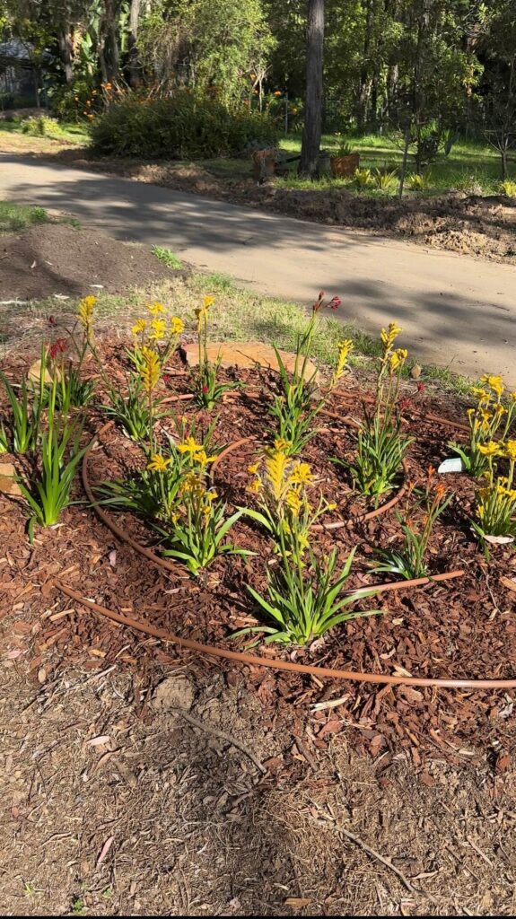 Irrigation Systems Installation & Repairs